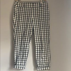Ann Taylor Loft Dress Pants